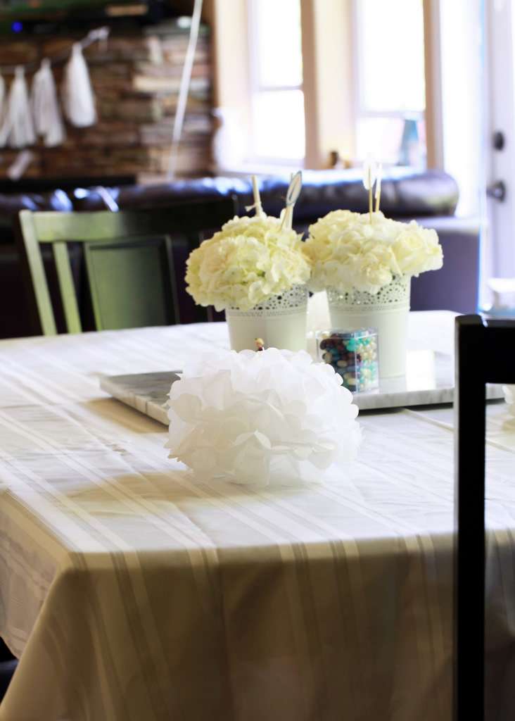 Frozen 3rd Birthday | Posh Little Designs