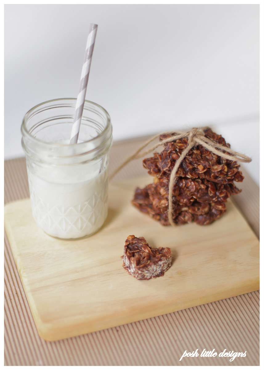 vegan no bakes