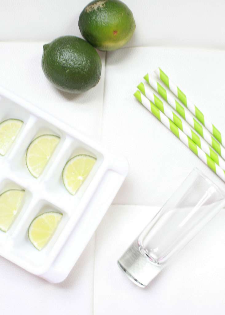 Margarita Ice cubes | Posh Little Designs