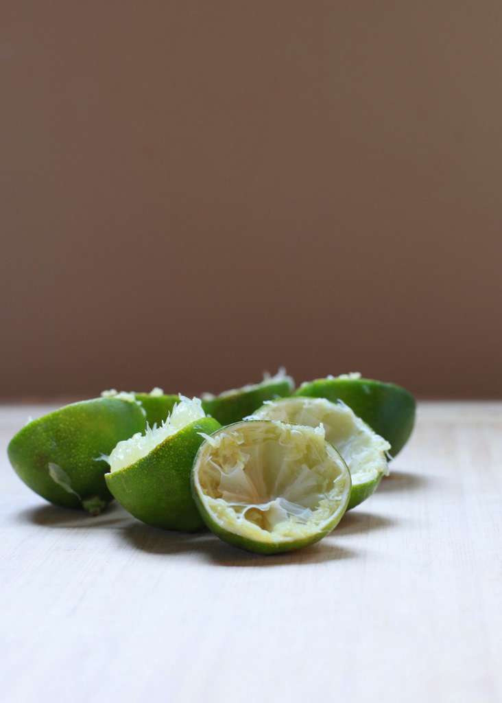 Margarita Ice cubes | Posh Little Designs
