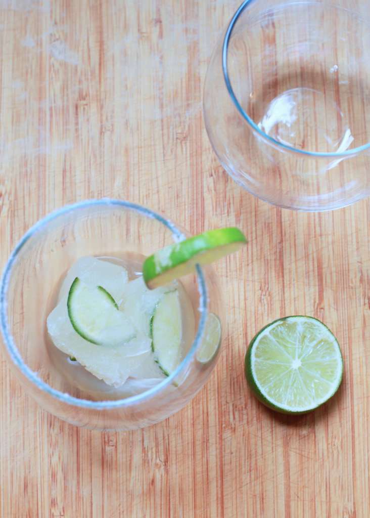 Margarita Ice cubes | Posh Little Designs