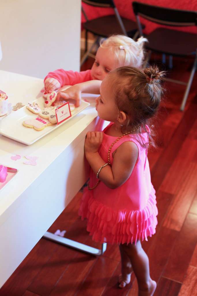 Ombre Minnie Mouse Birthday Party | Posh Little Designs