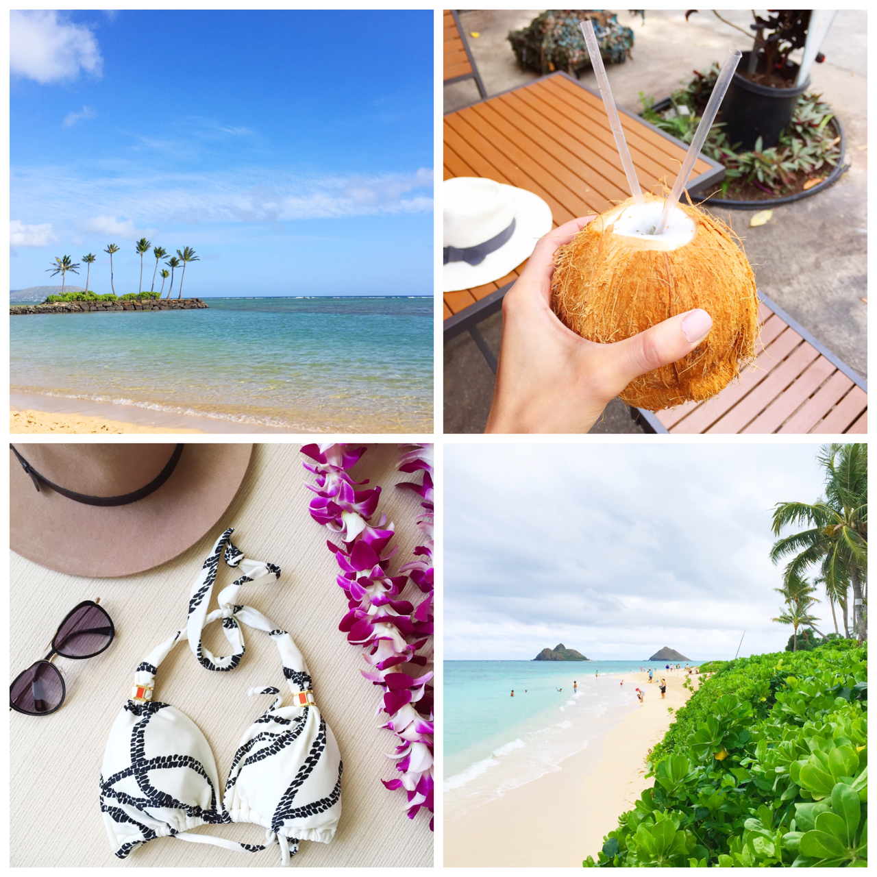 TravelGram - Oahu | Posh Little Designs