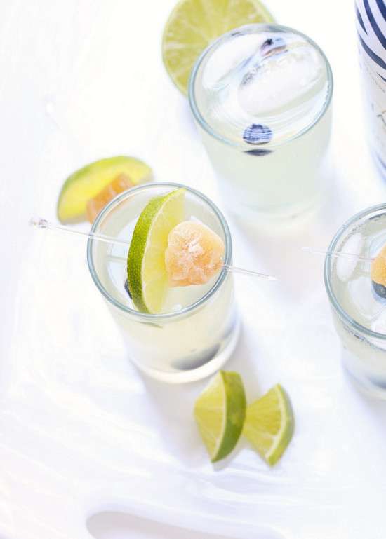 Sparkling Shandy - Chandon Classic Brut | Posh Little Designs