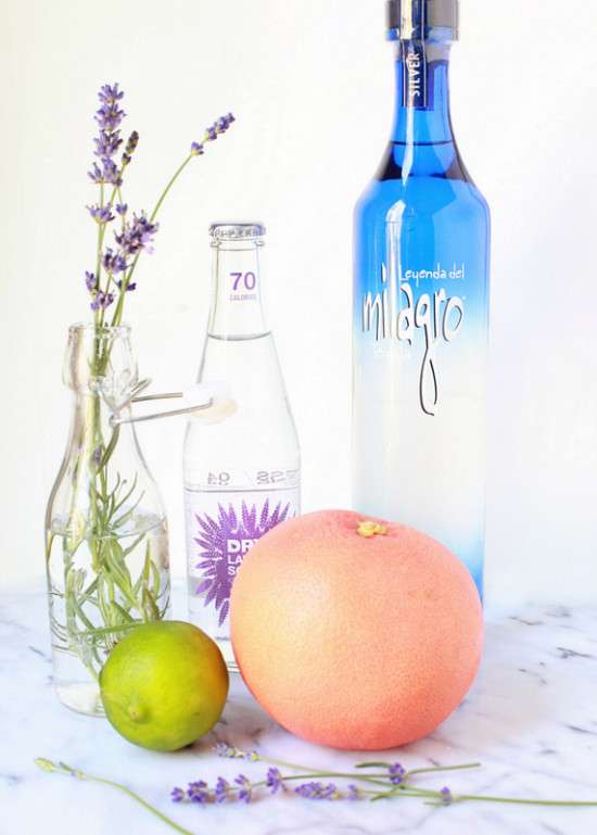 Lavender Paloma | Posh Little Designs