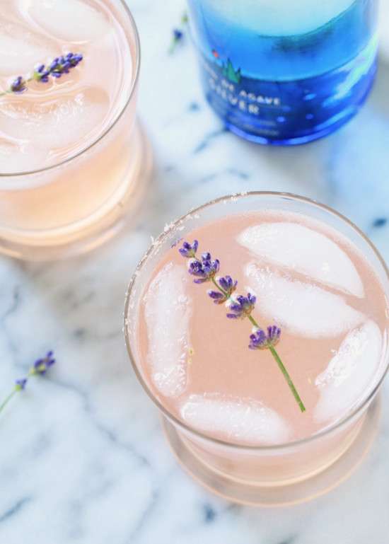 Lavender Paloma | Posh Little Designs