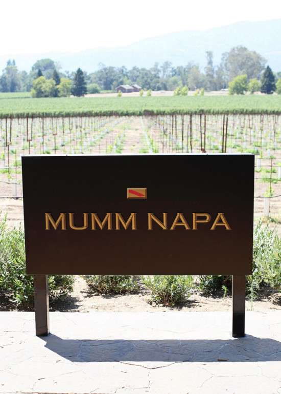 Napa16