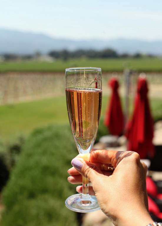 Napa19
