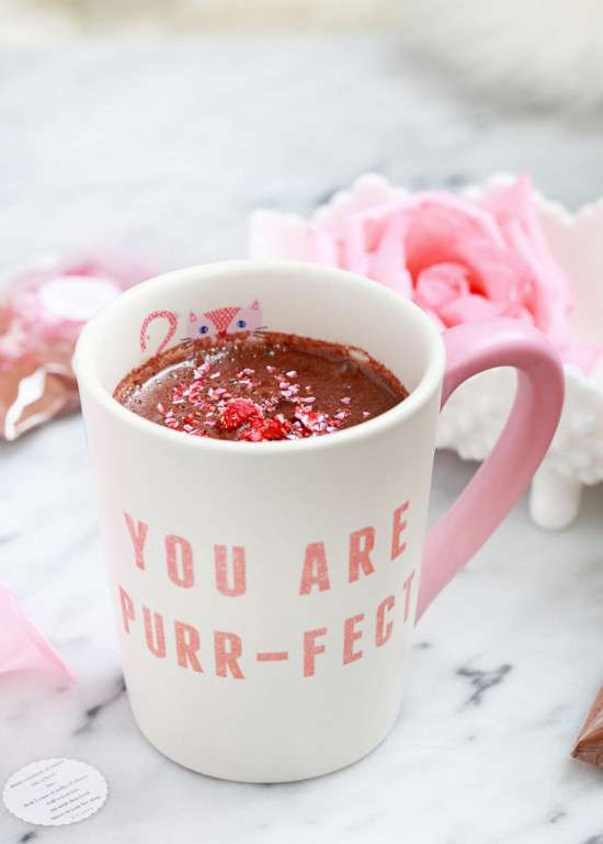 DIY Hot Cocoa Mix | Posh Little Designs