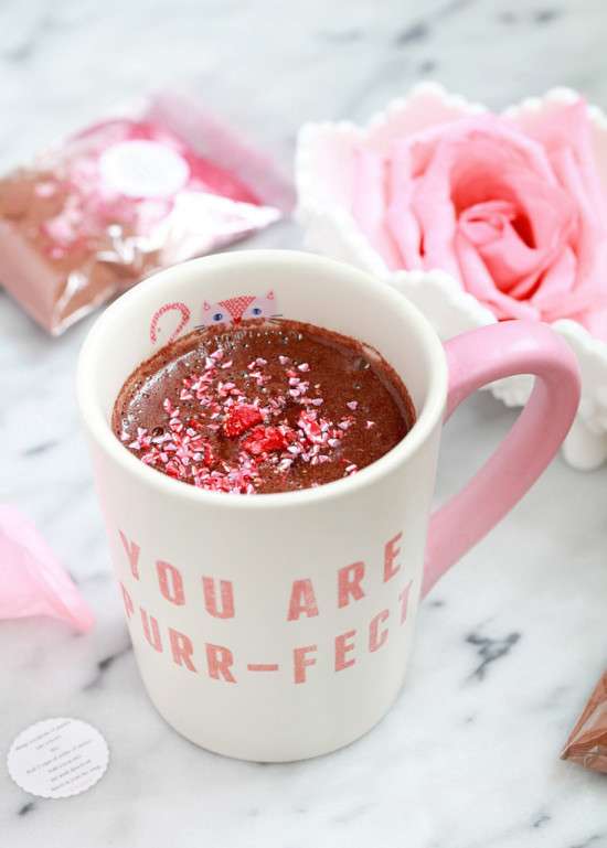 DIY Hot Cocoa Mix | Posh Little Designs