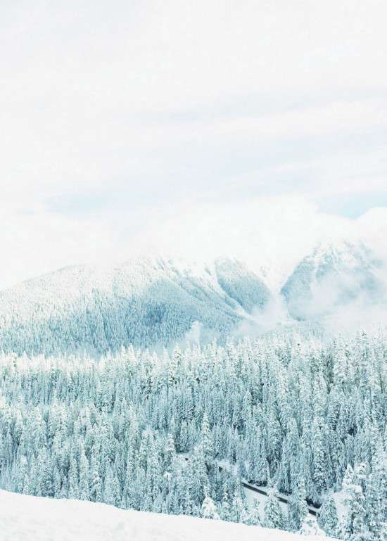 Snow day | Posh Little Designs