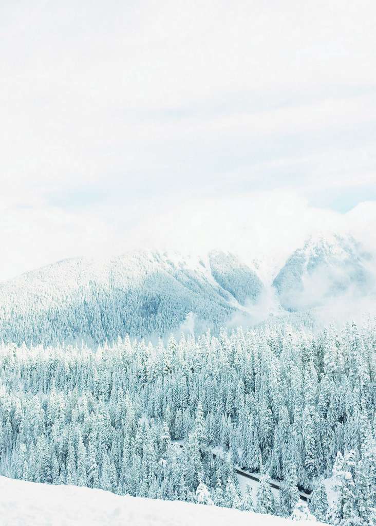 Snow Day