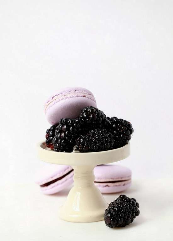 Blackberry Elderflower Macarons | Posh Little Designs
