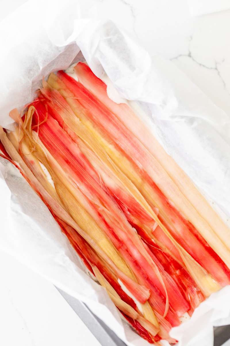 Vegan strawberry ice cream bars topped with tart candied rhubarb - an easy, no bake and gluten free recipe