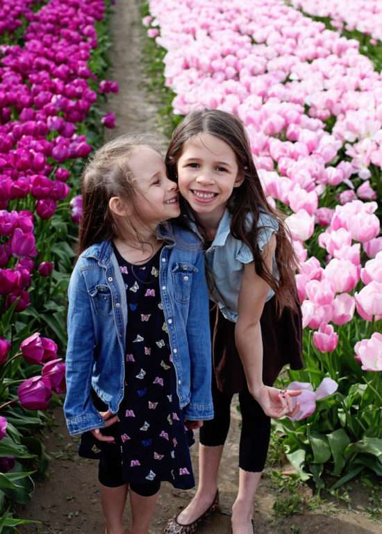 Tulips | Posh Little Designs