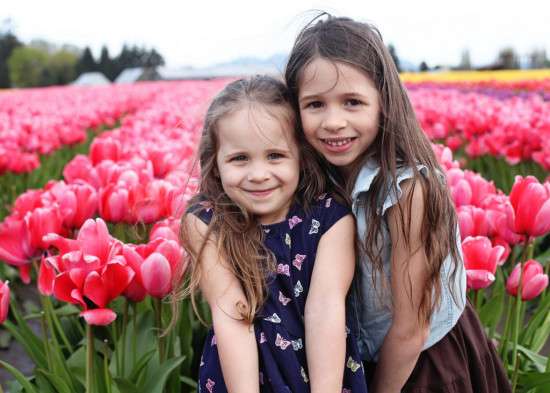 Tulips | Posh Little Designs