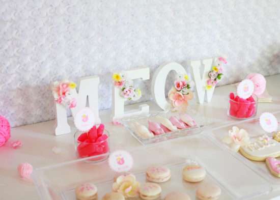Spring Kitten 4th Birthday | Posh Little Design