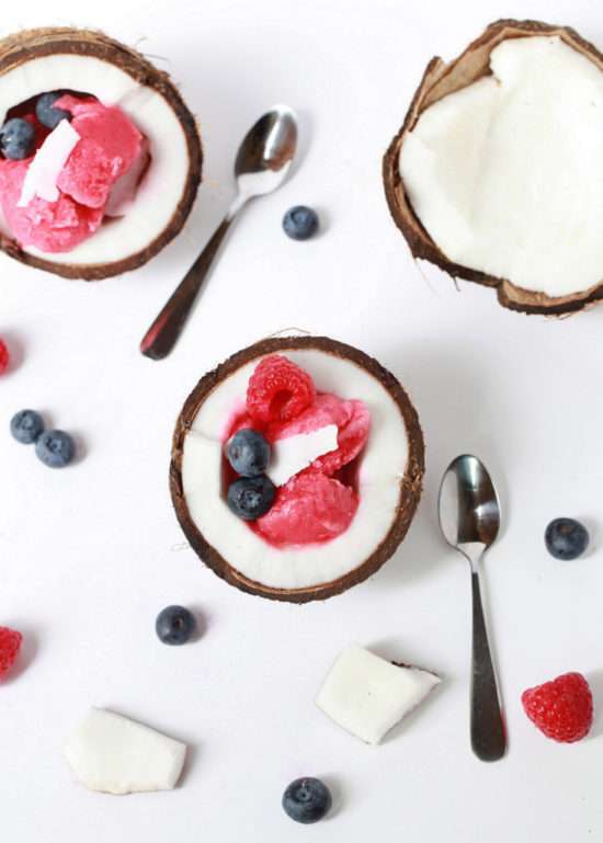 Raspberry Coconut Sorbet | Posh Little Designs