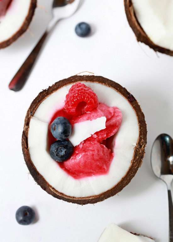 Raspberry Coconut Sorbet | Posh Little Designs