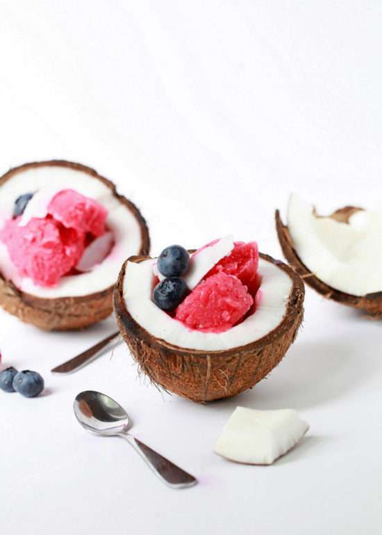 Raspberry Coconut Sorbet | Posh Little Designs