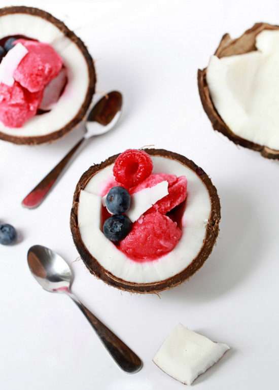Raspberry Coconut Sorbet | Posh Little Designs