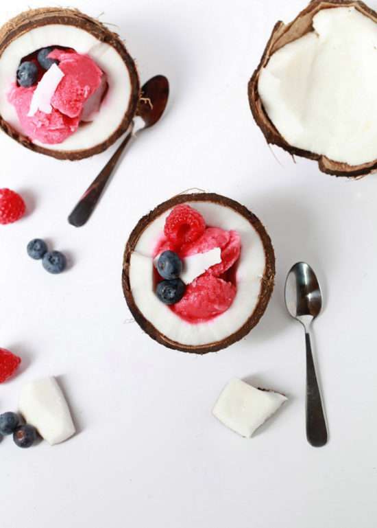 Raspberry Coconut Sorbet | Posh Little Designs