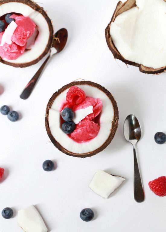 Raspberry Coconut Sorbet | Posh Little Designs