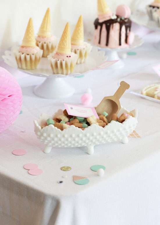 Ice Cream Beanie Boo Birthday | Posh Little Designs
