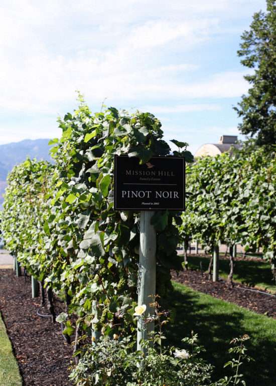 Kelowna | Posh Little Designs