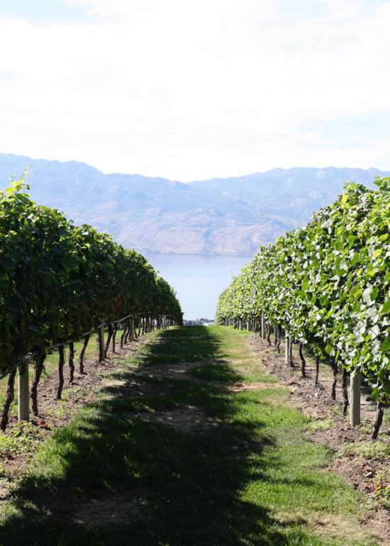 Kelowna | Posh Little Designs