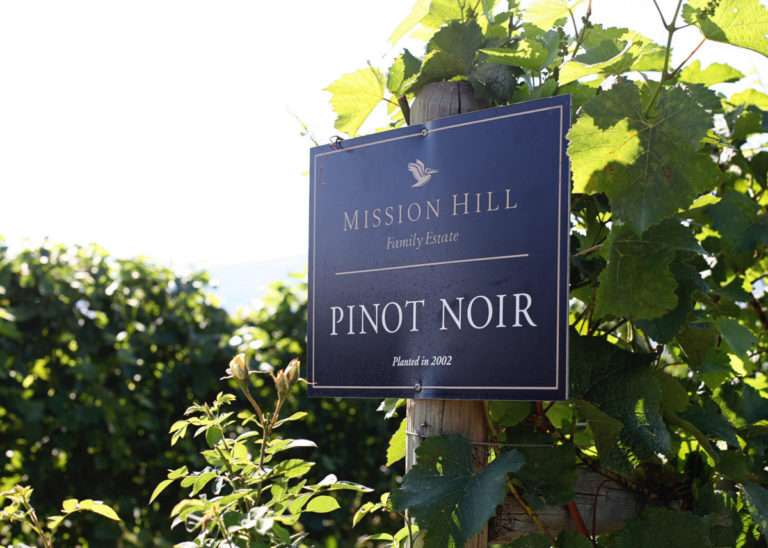 Kelowna Wine Country
