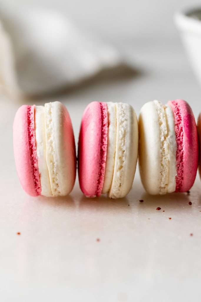 Cranberry vanilla bean French macarons filled with creamy vanilla buttercream and cranberry jam.
