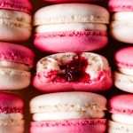 Cranberry vanilla macarons filled with vanilla buttercream and cranberry jam. A sweet and tart festive holiday macaron combo, fitting for Thanksgiving and Christmas. Naturally gluten free with a dairy free option included.