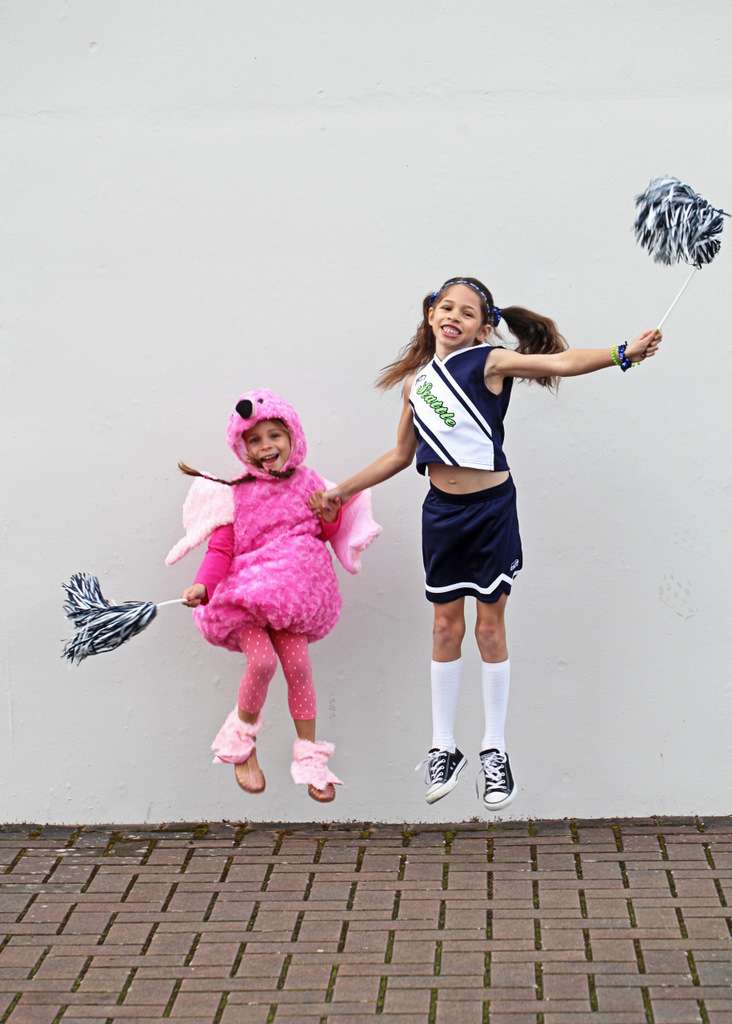 flamingo, seahawks
