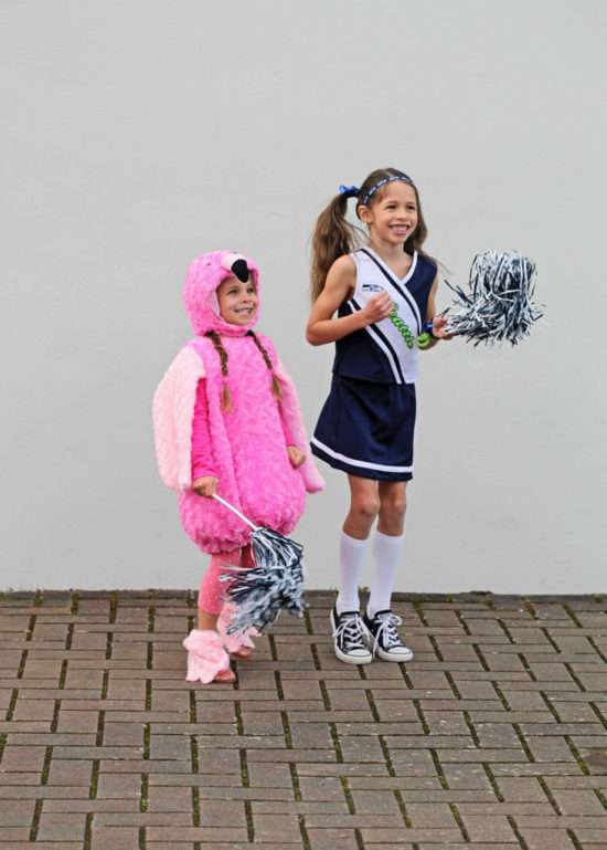 flamingo, seahawks