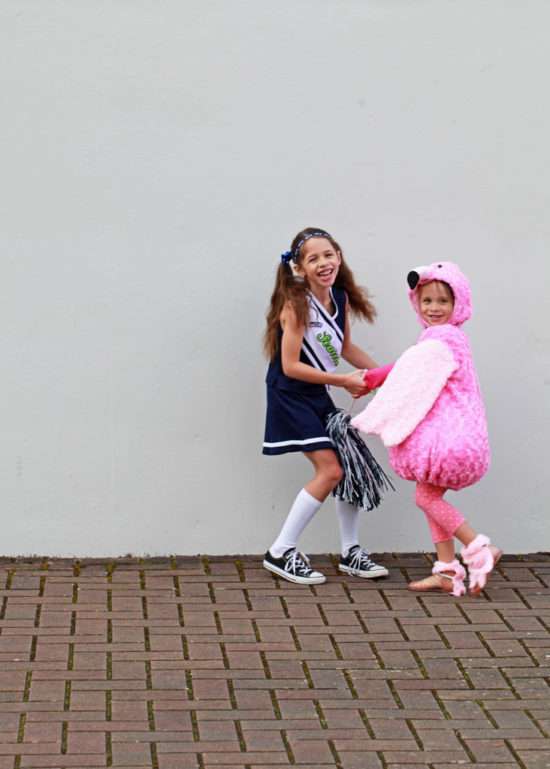flamingo, seahawks