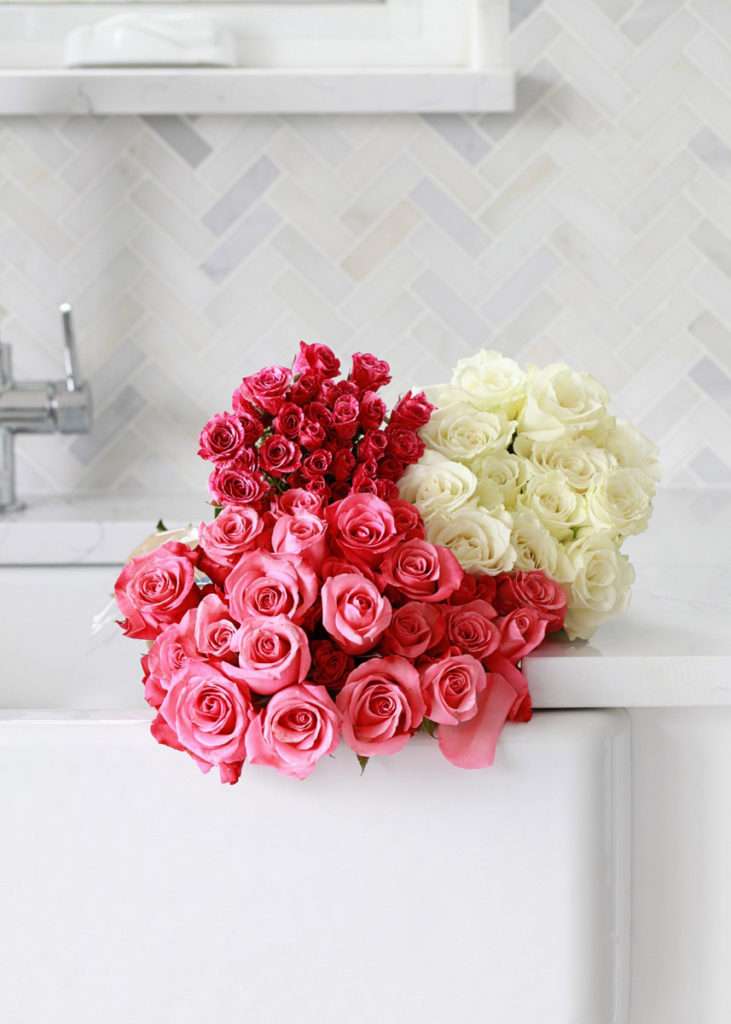pink white roses