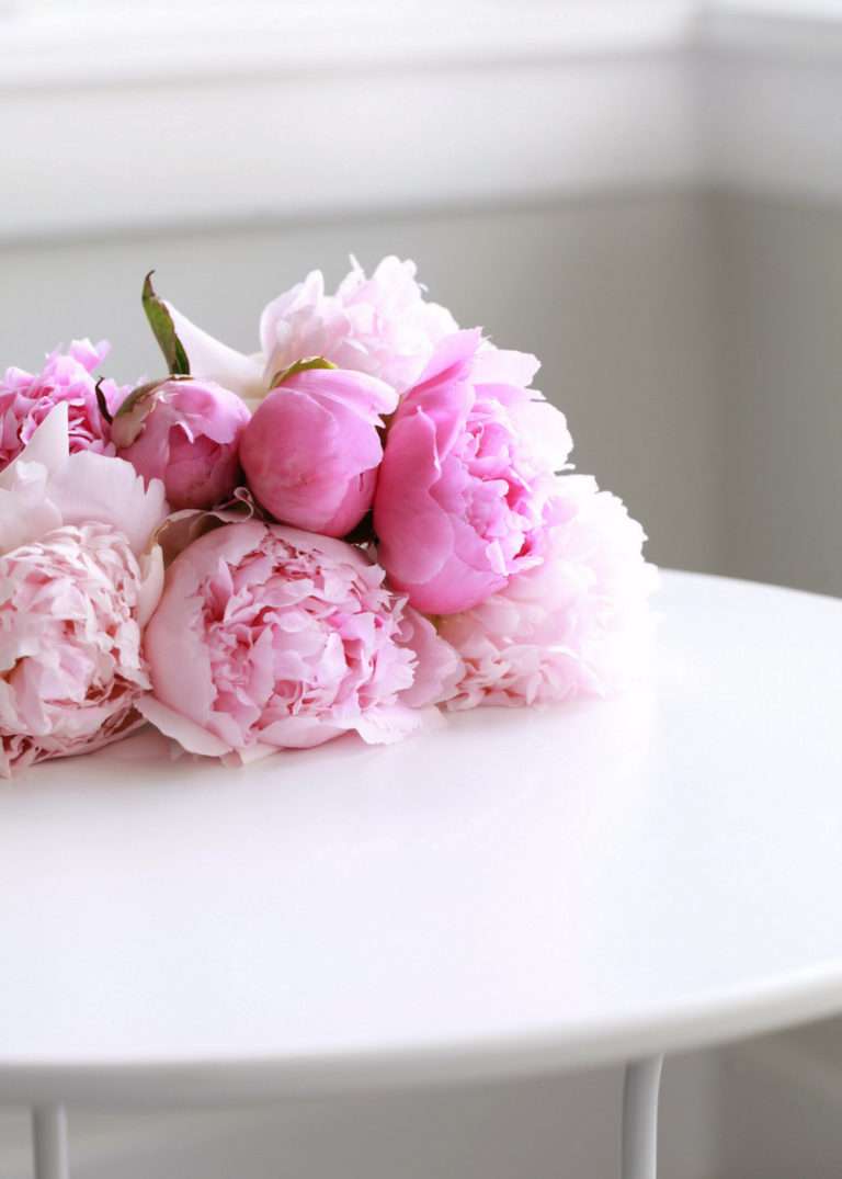 pink peonies