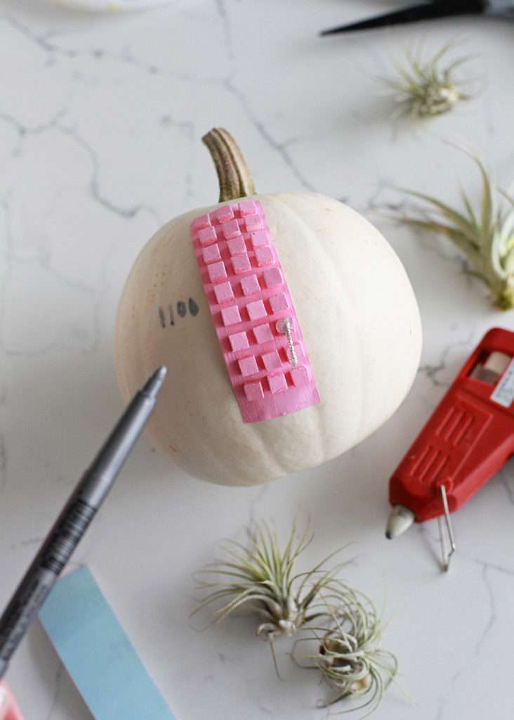 Fall, Pumpkin Crafts, Pink Door