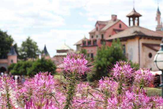 Travel-Blog-Paris-France-Europe-Disney Land