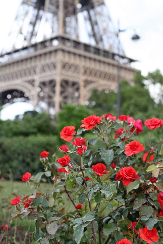 Travel-Blog-Paris-France-Europe-Eiffel Tower