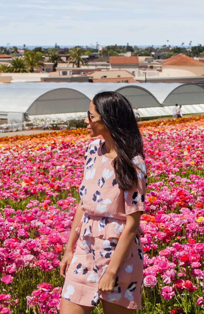 Visiting the flower fields in Carlsbad California-Travel-San-Diego-Ranunculus