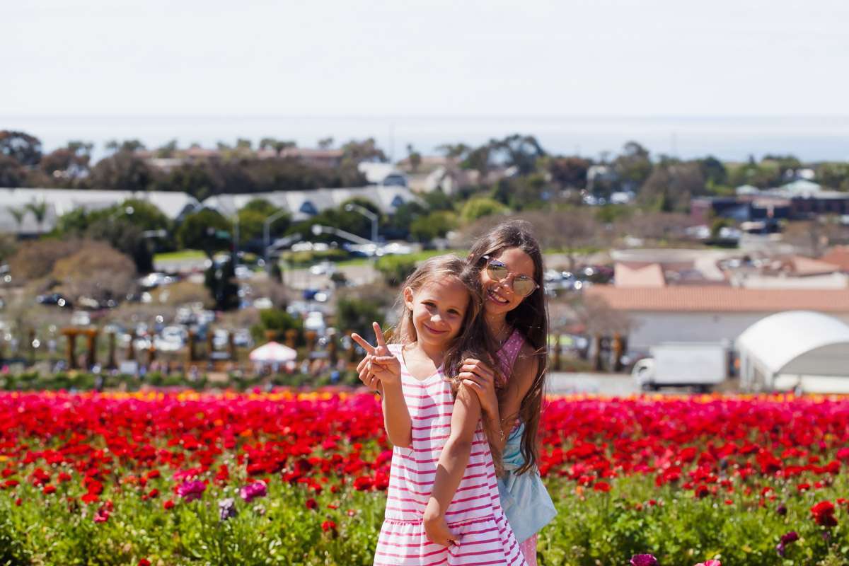Visiting the flower fields in Carlsbad California-Travel-San-Diego-Ranunculus