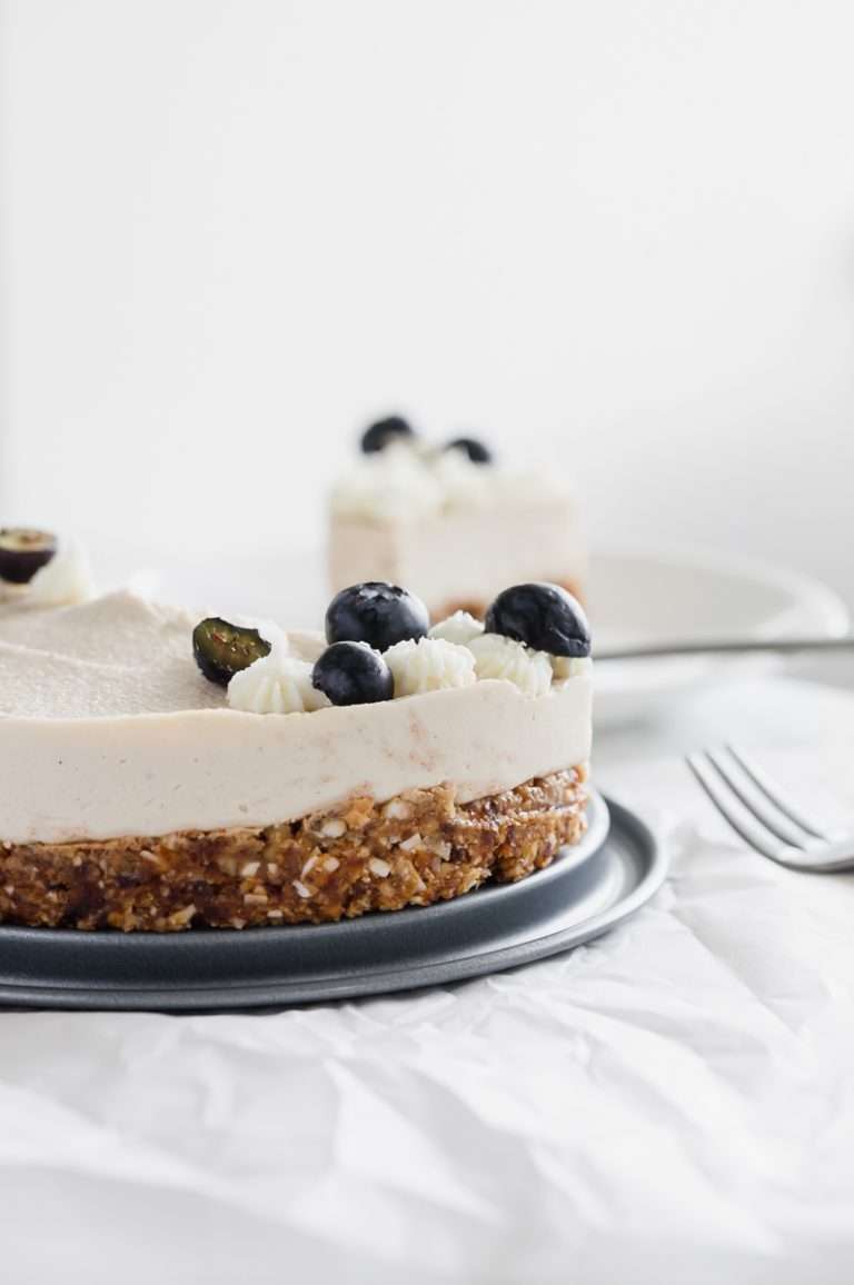 Raw Vegan Coconut Blueberry Cake - Gluten Free - Desserts - Summer - No Bake