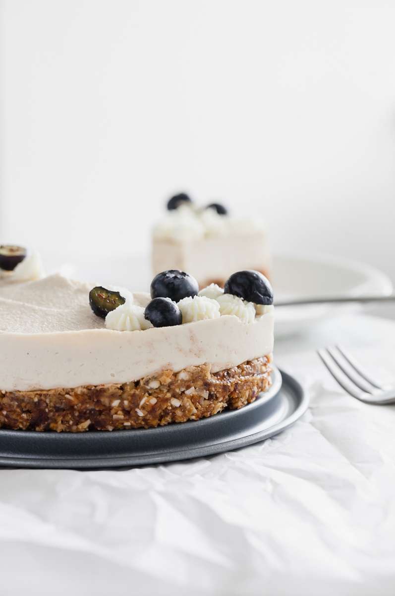 Raw Vegan Coconut Blueberry Cake - Gluten Free - Desserts - Summer - No Bake