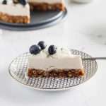 Raw Vegan Coconut Blueberry Cake - Gluten Free - Desserts - Summer - No Bake