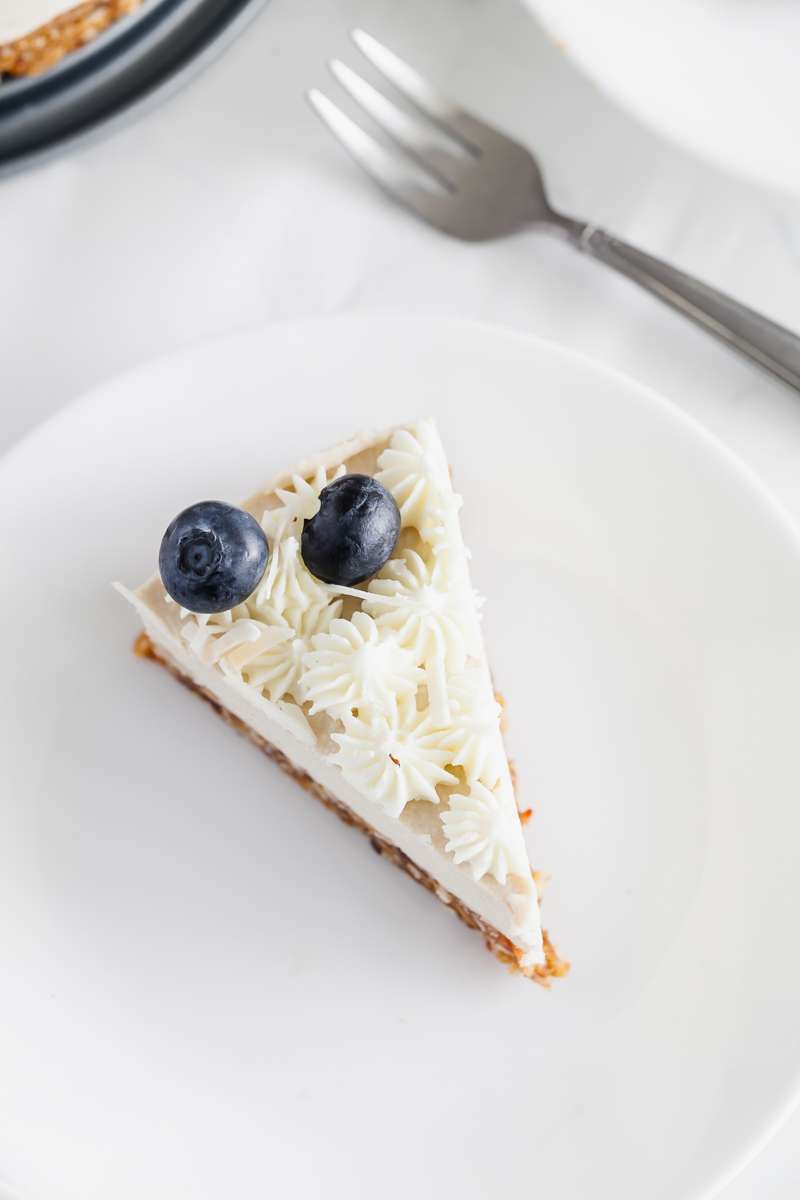 Raw Vegan Coconut Blueberry Cake - Gluten Free - Desserts - Summer - No Bake