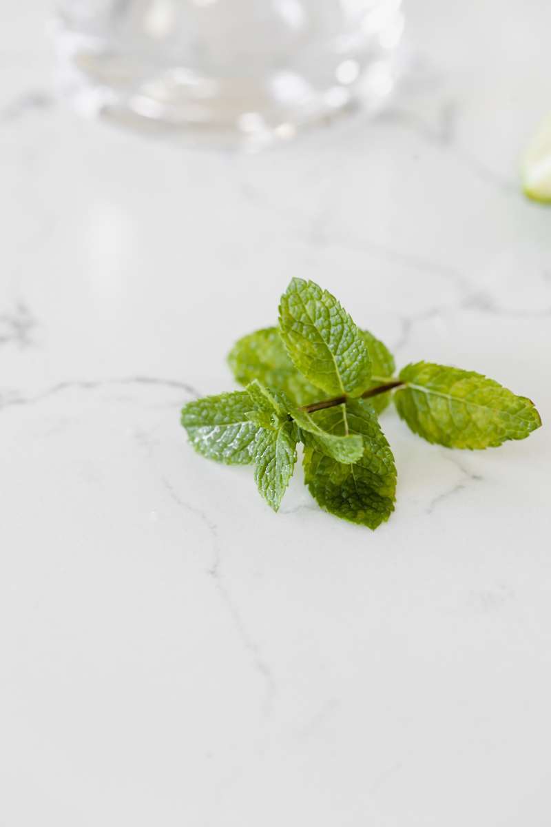 dragonfruit-mojitos-easy-cocktail-recipes-drinks-beverages-summer-mint-lime