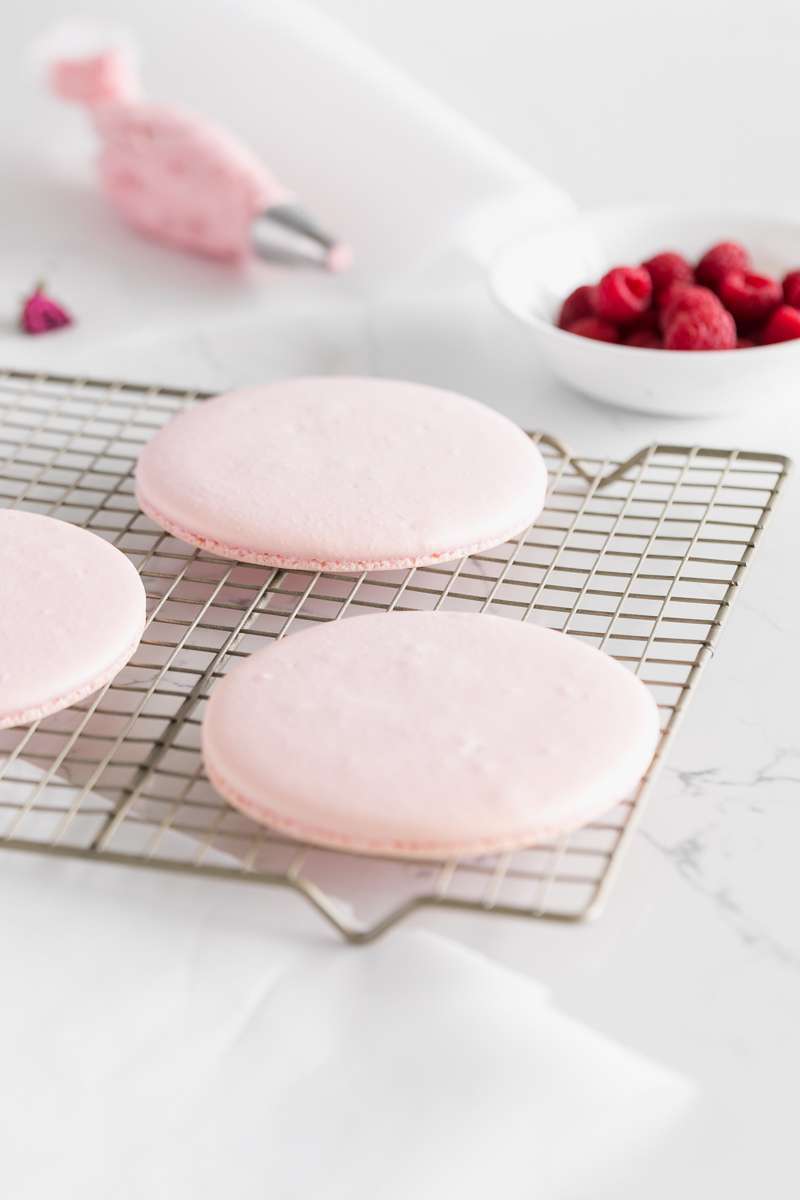 raspberry_macarons_italian_meringue_instructions_recipes_cake_gluten_free_baking_dairy_free