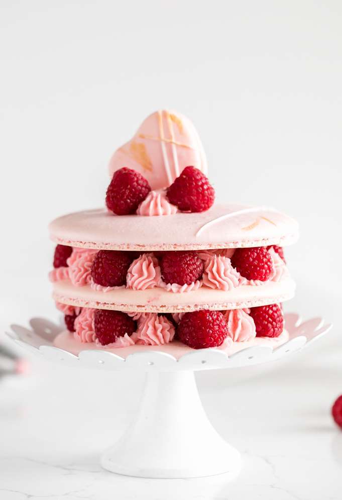 raspberry_macarons_italian_meringue_instructions_recipes_cake_gluten_free_baking_dairy_free